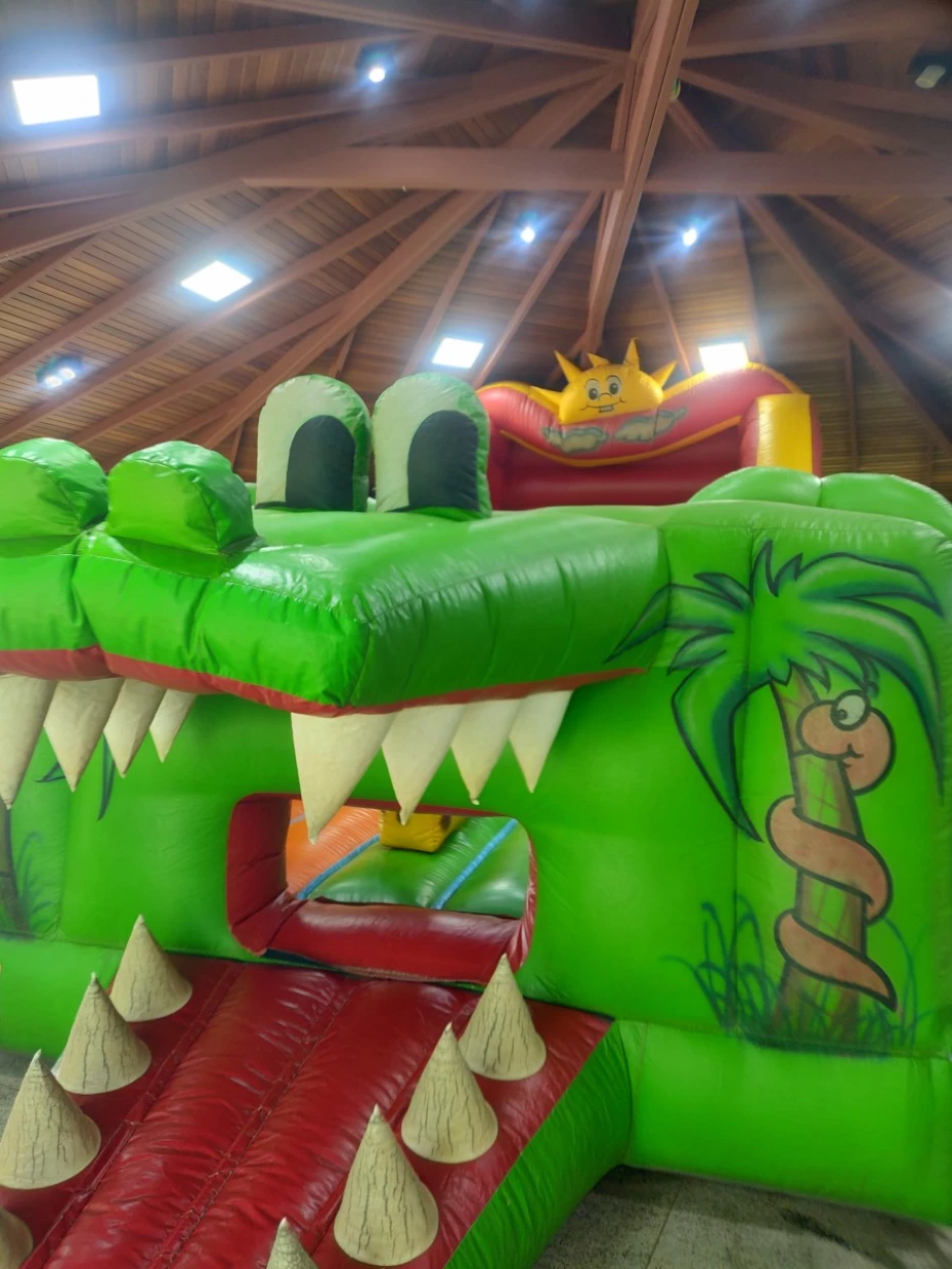 Foto 9:  — Brinquedos Crocodius 